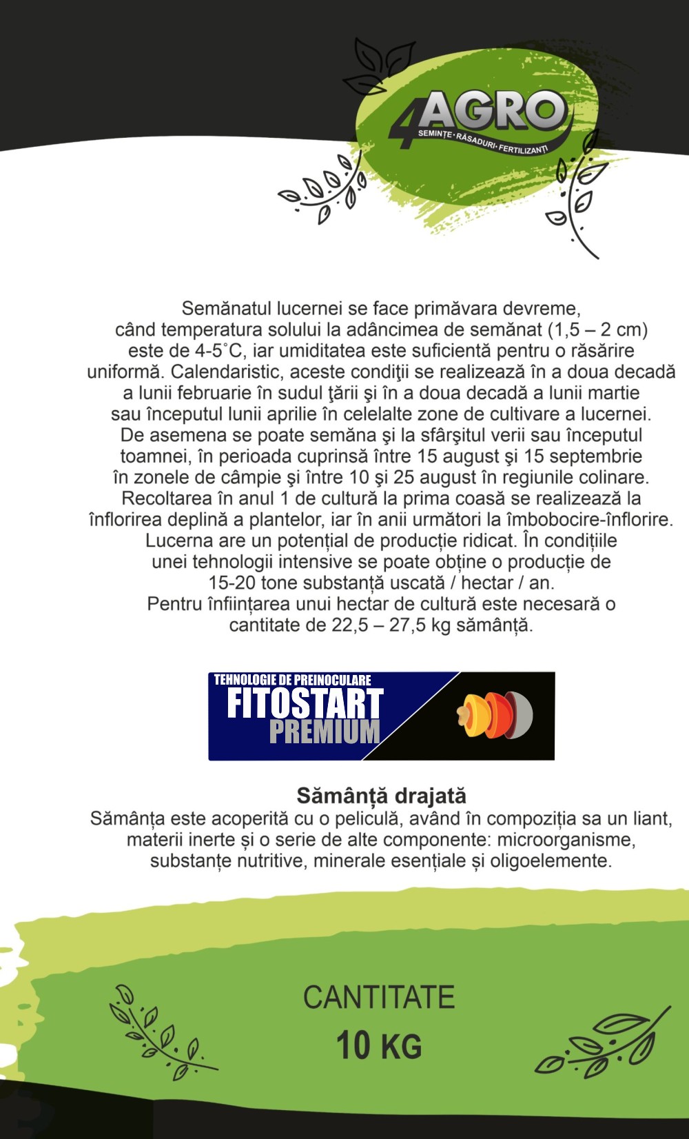 Sămânță lucernă DOBROGEA C1* - imagine 2